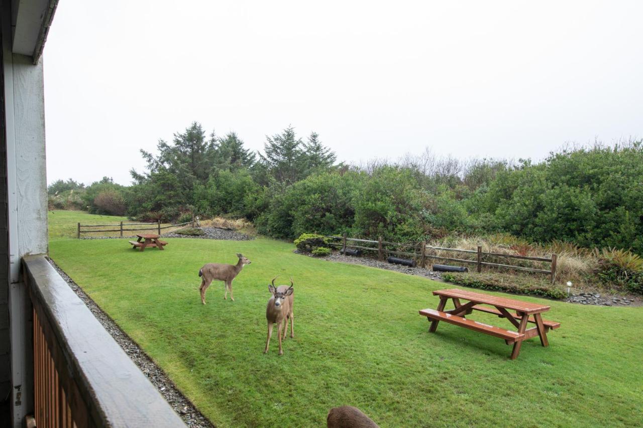 Aurora At Nautilus - Pet Friendly Oceanfront Condo Ocean Shores Esterno foto