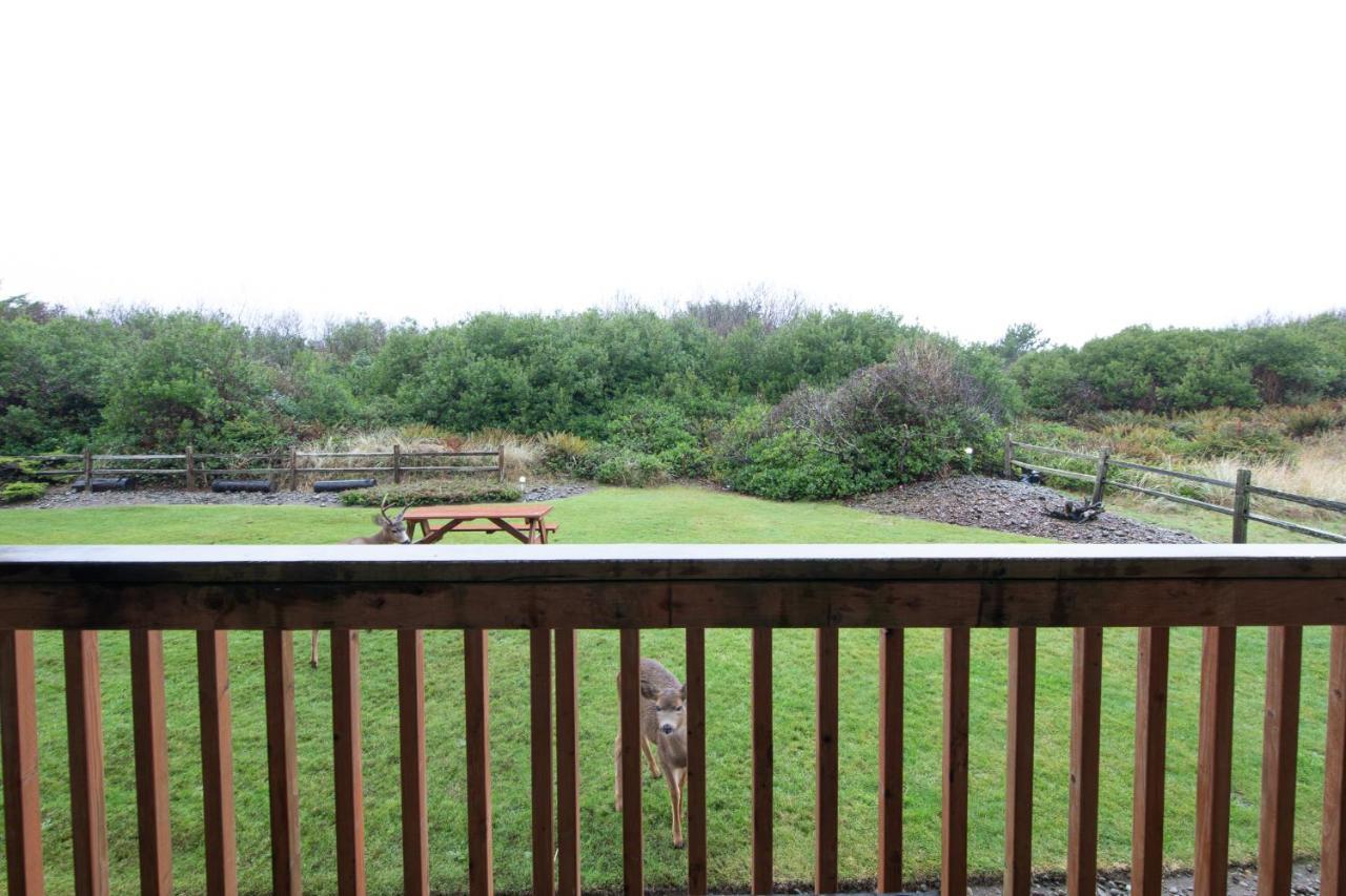 Aurora At Nautilus - Pet Friendly Oceanfront Condo Ocean Shores Esterno foto